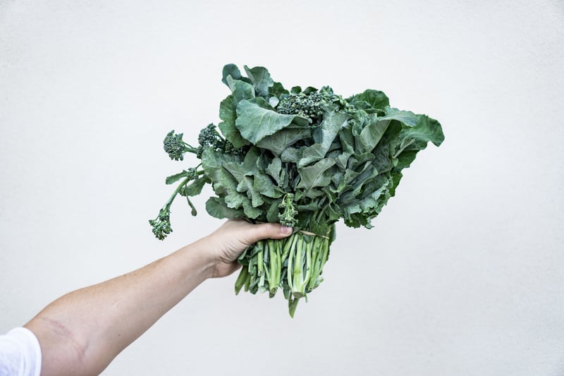 Person holding kale